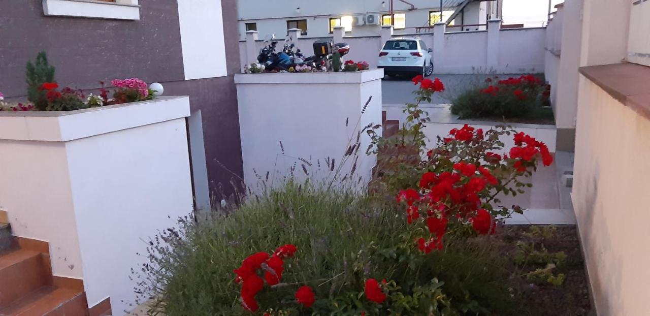 Cricova Vila Family מראה חיצוני תמונה